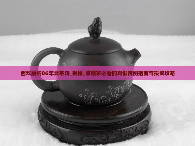 西双版纳06年云茶饼