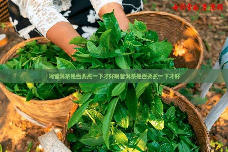 喝普洱茶是否要煮一下才好
