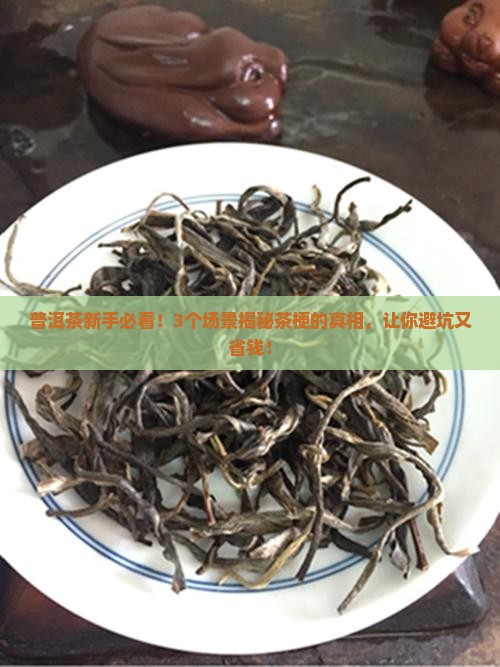 普洱茶中有茶梗
