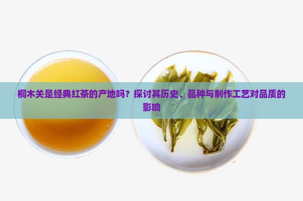 桐木关是经典红茶的产地吗
