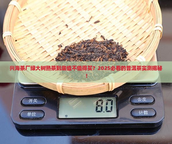 兴海茶厂绿大树普洱茶熟茶