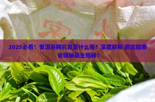 普洱茶网是什么茶