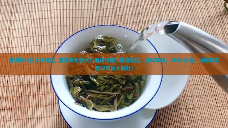 普洱茶化石大小对比