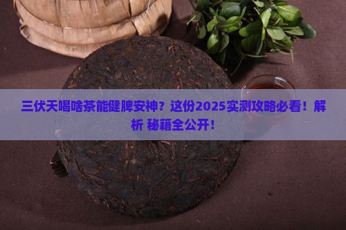 三伏天喝什么茶健脾安神
