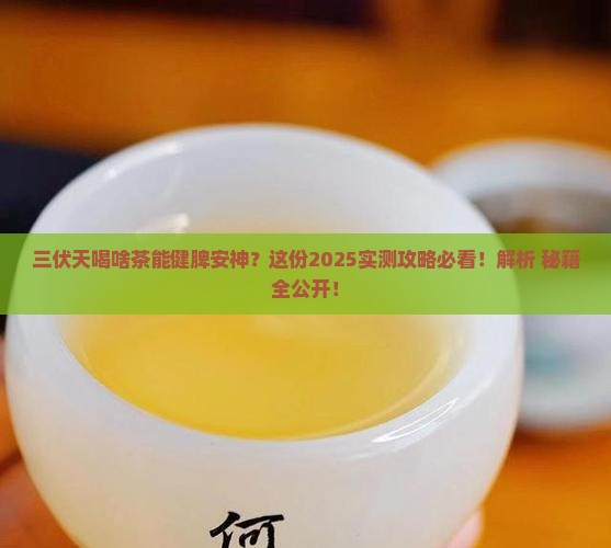 三伏天喝什么茶健脾安神
