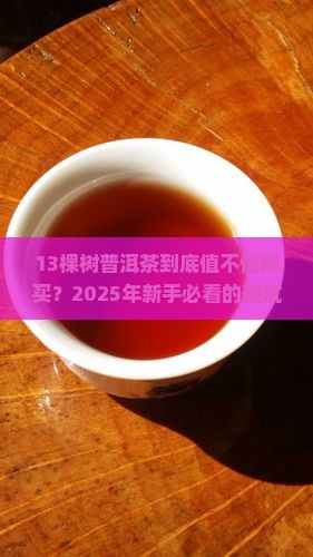 13棵树普洱茶