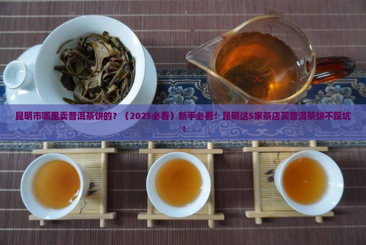 昆明市哪里卖普洱茶饼的