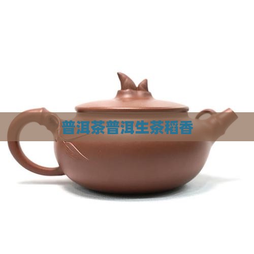 稻香普洱茶生茶