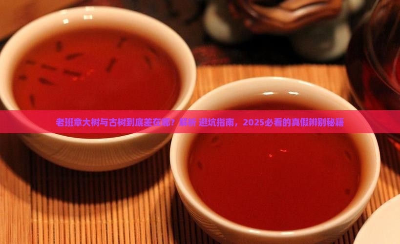 老班章大树与古树的辨别