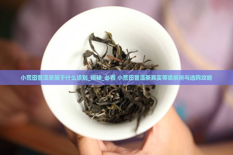 小荒田普洱茶属于什么级别