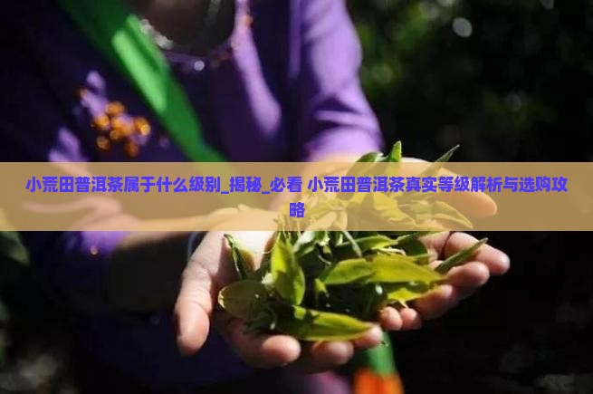 小荒田普洱茶属于什么级别