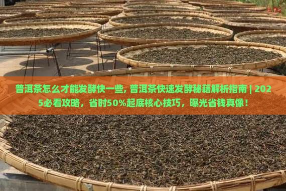 普洱茶怎么才能发酵快一些