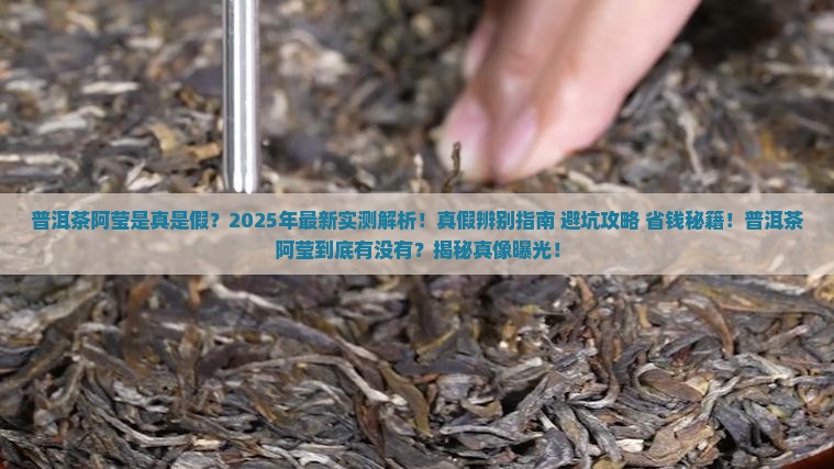 普洱茶阿莹是真的假的