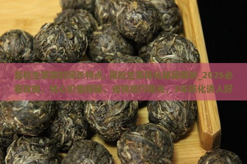 曼松生茶放时间长特点