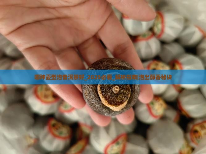 哪种壶型泡普洱茶好