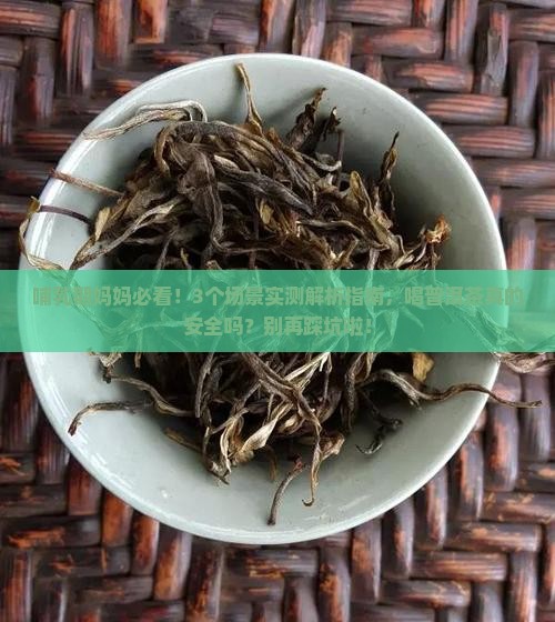 哺乳期是否可以喝普洱茶 哺乳期是否可以喝普洱茶