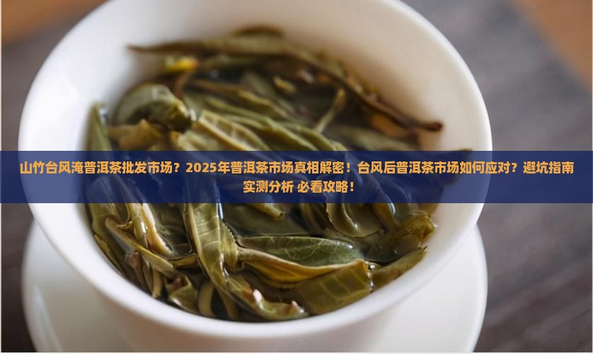 山竹台风淹普洱茶批发市场