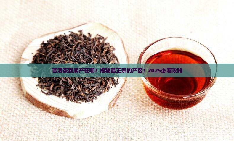 普洱茶最主要的产区是