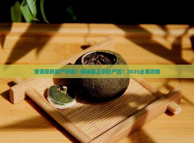 普洱茶最主要的产区是