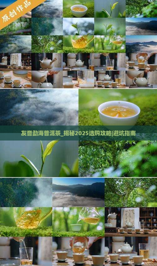 友誉勐海普洱茶
