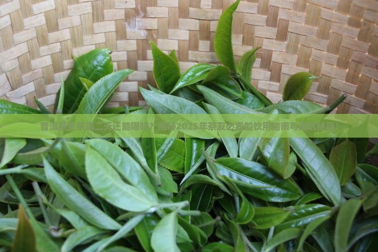 普洱茶生茶第二天还能喝吗