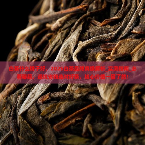 白茶什么牌子好