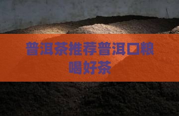 普洱茶存口粮喝好茶