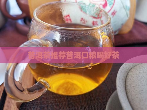 普洱茶存口粮喝好茶