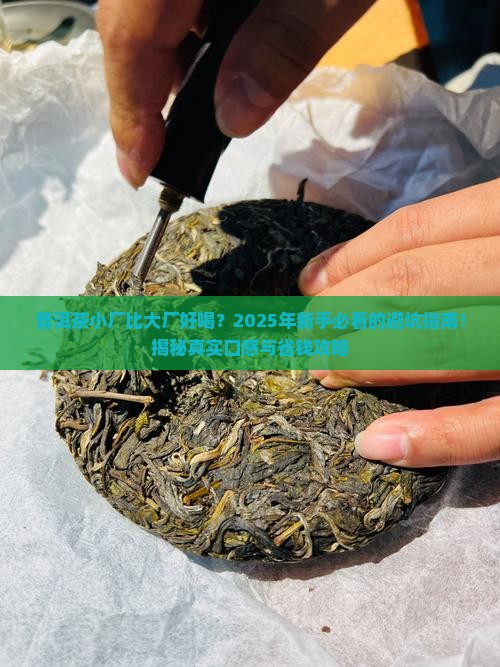 普洱茶小厂比大厂好喝