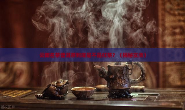 云南名茶普洱茶属于红茶