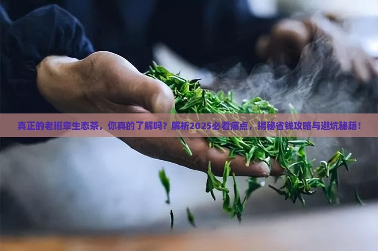真正的老班章生态茶