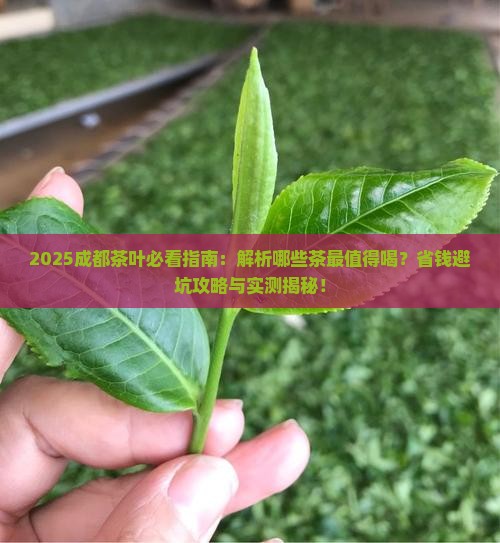 成都有什么茶叶