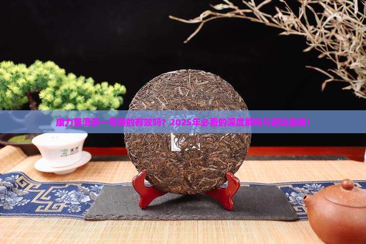 康力普洱茶一号的功效
