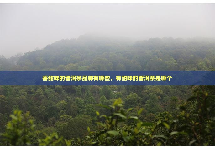 香甜味的普洱茶品牌有哪些