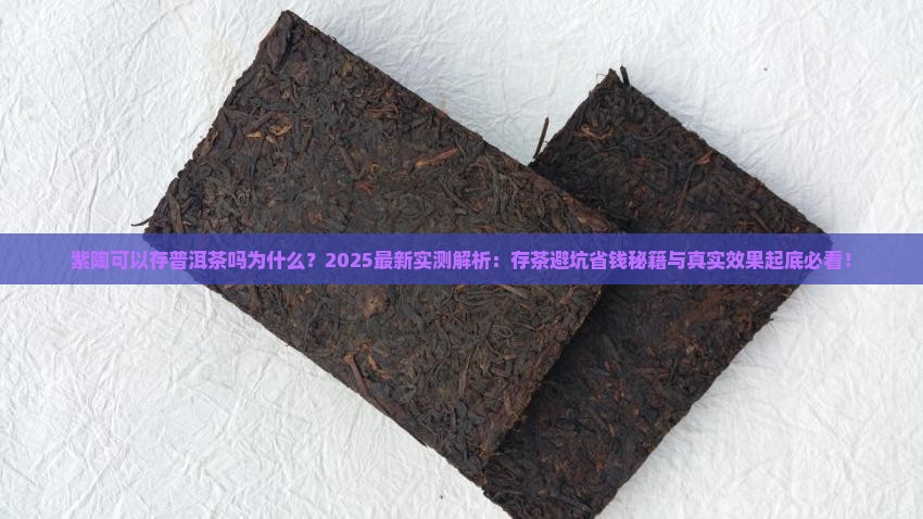 紫陶可以存普洱茶吗为什么