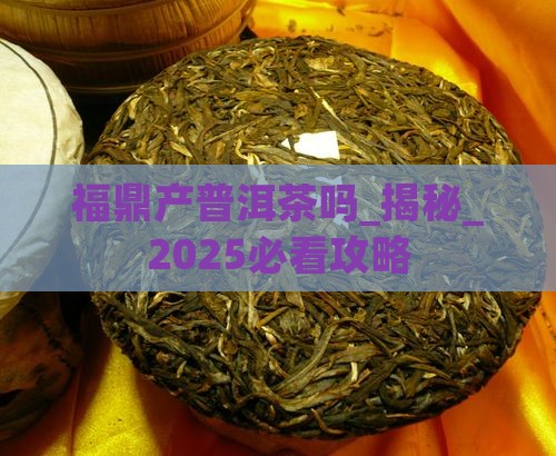 福鼎产普洱茶吗 福鼎产普洱茶吗
