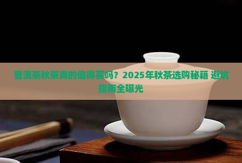 普洱茶秋茶怎么样 普洱茶秋茶怎么样