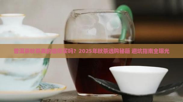 普洱茶秋茶怎么样 普洱茶秋茶怎么样