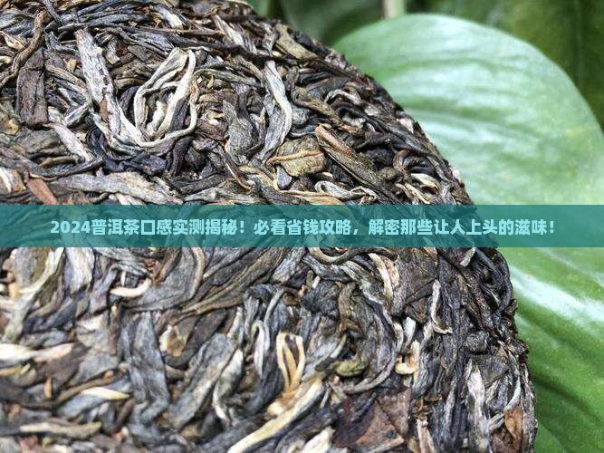 2024普洱茶口感 2024普洱茶口感