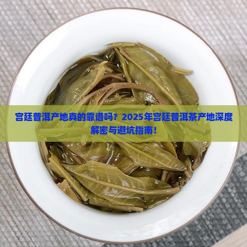 宫廷普洱产地宫廷普洱茶产地
