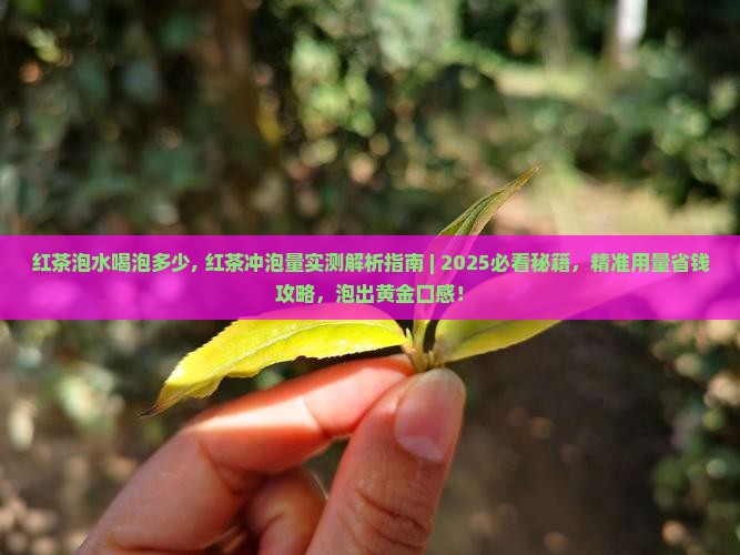 红茶泡水喝泡多少