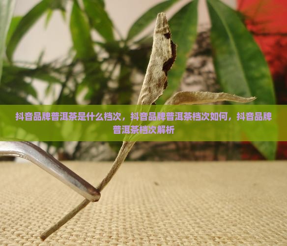 抖音品牌普洱茶是什么档次