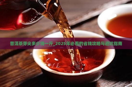 普洱茶芽尖多少钱一斤