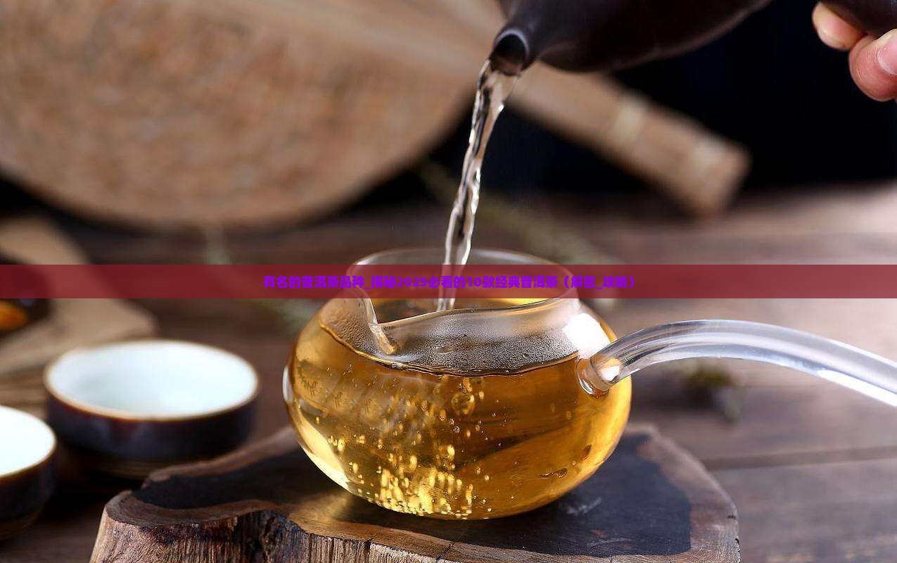 有名的普洱茶品种