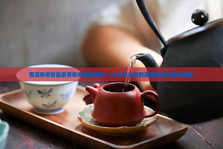 普洱茶感官品质等级