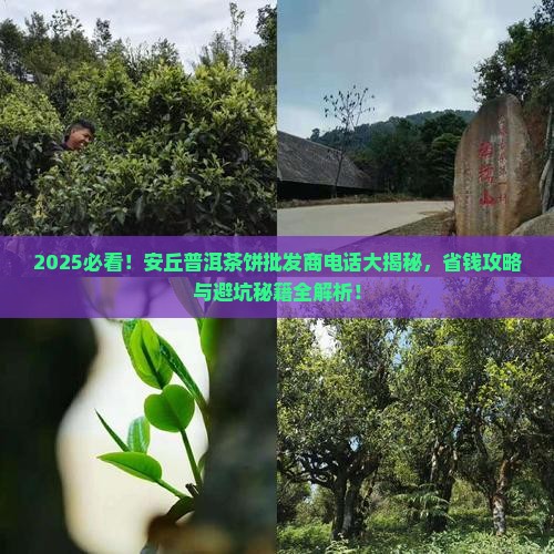 安丘普洱茶饼批发商电话