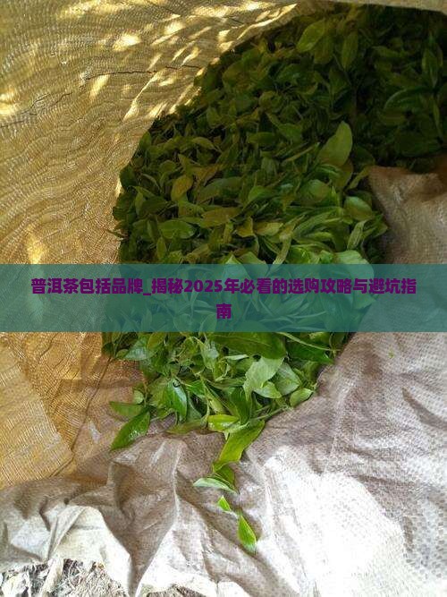 普洱茶包括品牌