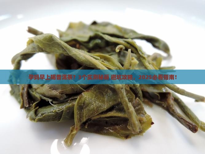 孕妇早上可以喝普洱茶吗