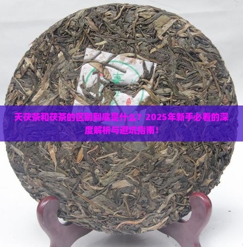 天茯茶和茯茶的区别
