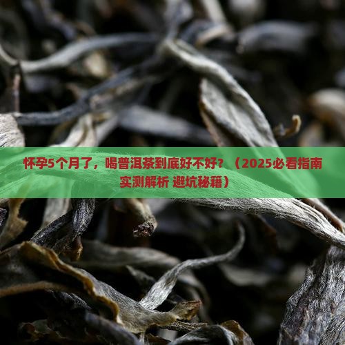 怀孕5个月喝点普洱茶好吗